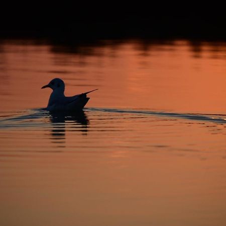 Agriturismo Venice Photobirding Тессера Екстер'єр фото