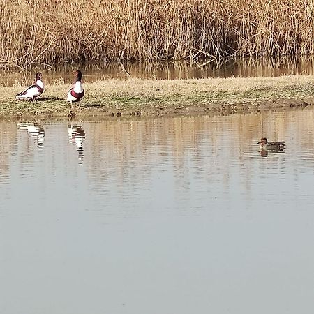 Agriturismo Venice Photobirding Тессера Екстер'єр фото