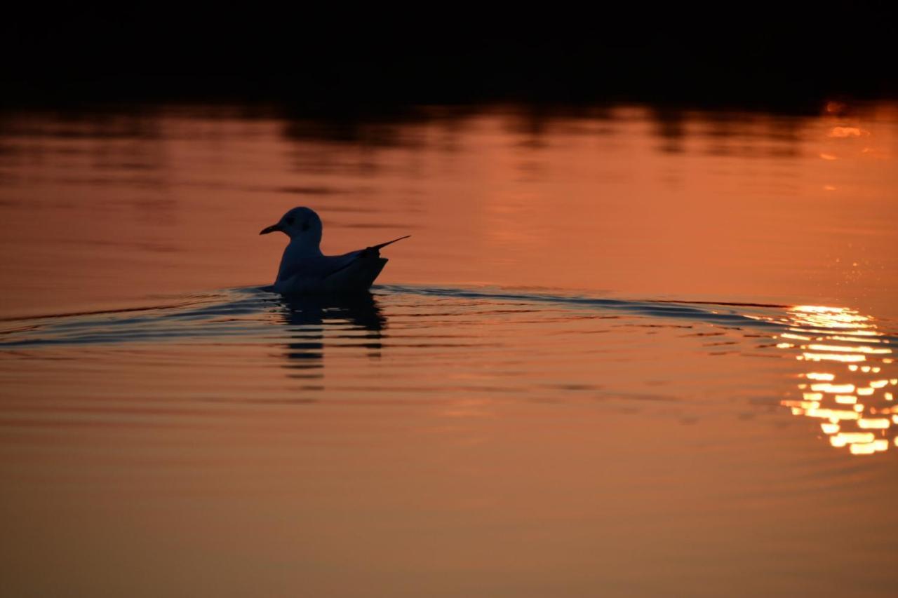 Agriturismo Venice Photobirding Тессера Екстер'єр фото