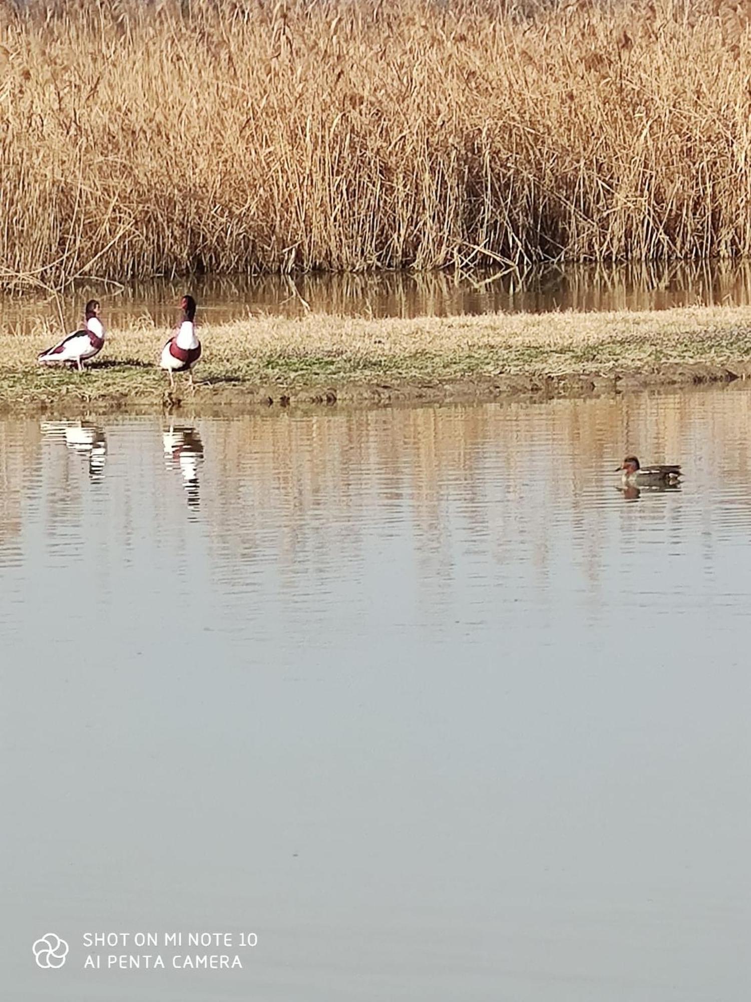 Agriturismo Venice Photobirding Тессера Екстер'єр фото